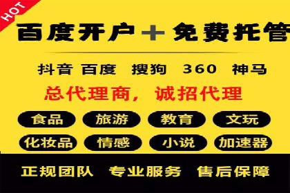 百度SEO推广公司案例分享：行业佼佼者经验
